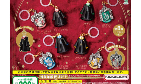 ハリー・ポッター めじるしアクセサリー