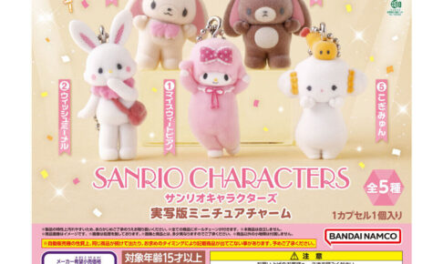 サンリオ 実写版ミニチュアチャーム カプセルトイ