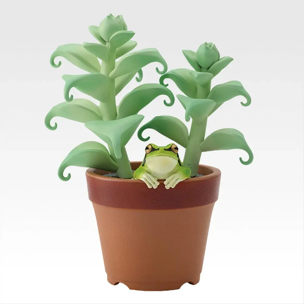 C賞 ニホンアマガエルと観葉植物アクセサリースタンド