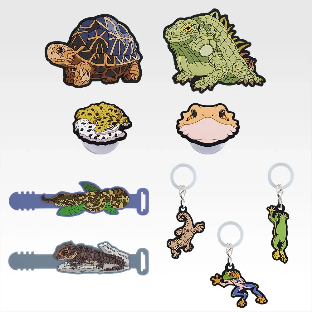 I賞 ラバーコレクション